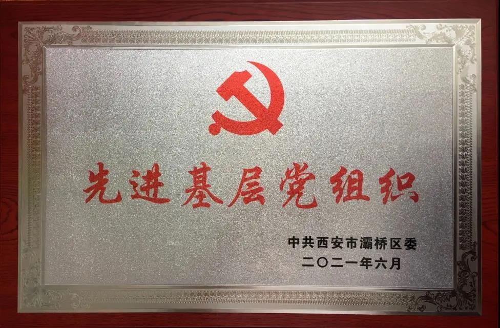 西安中医脑病医院党委荣获灞桥区 “先进基层党组织”荣誉称号